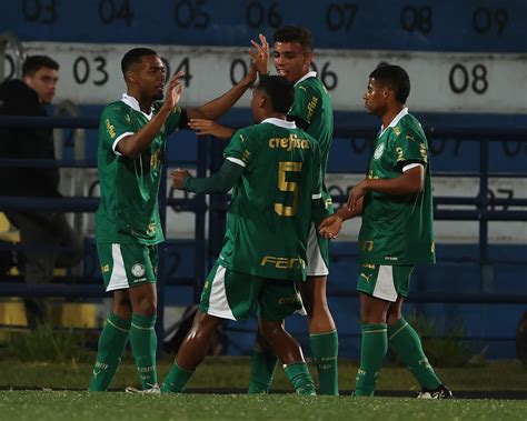 palmeiras x novorizontino semifinal